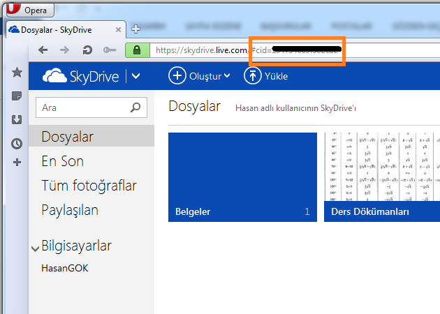 skydrive-1