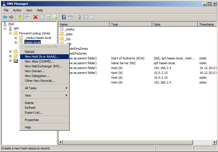 dns-manager-new-host